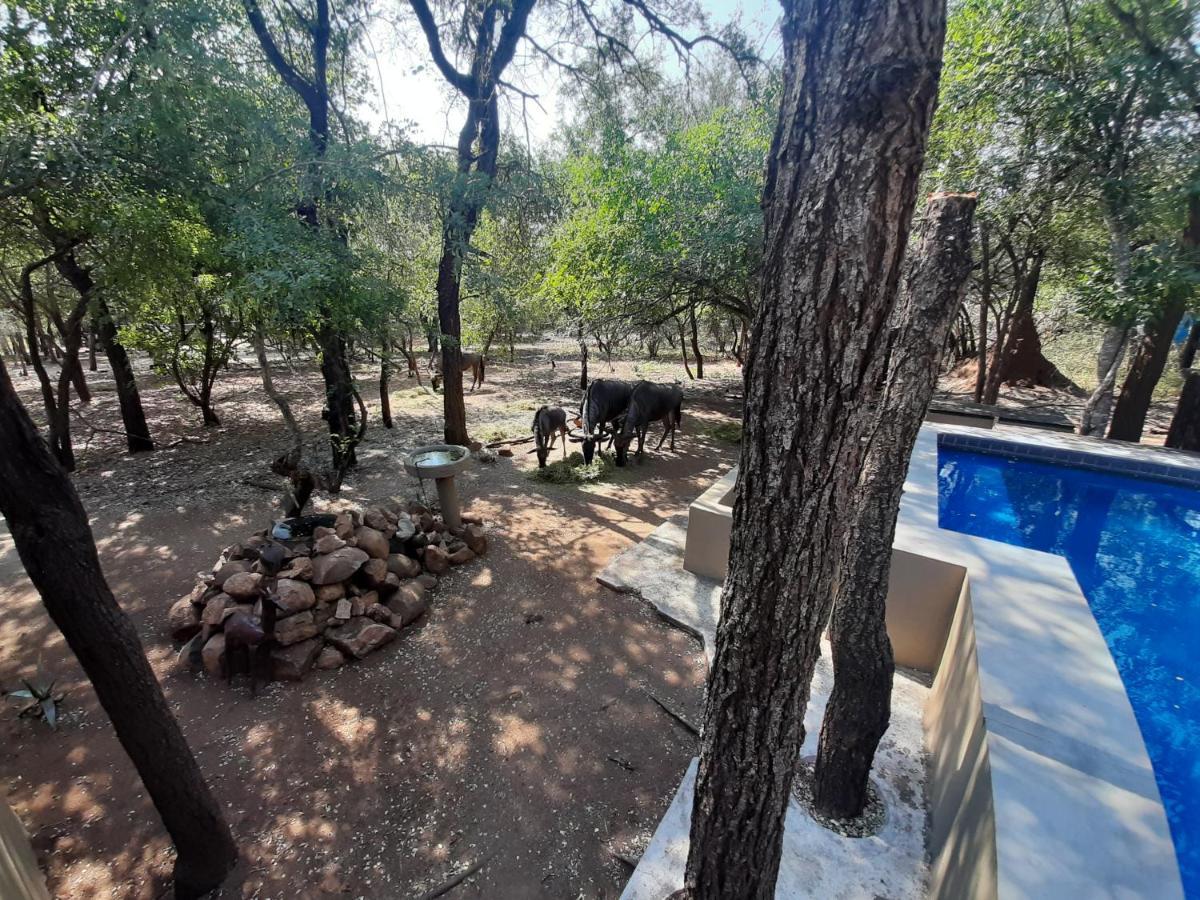 African Sky Villas Marloth Park Esterno foto