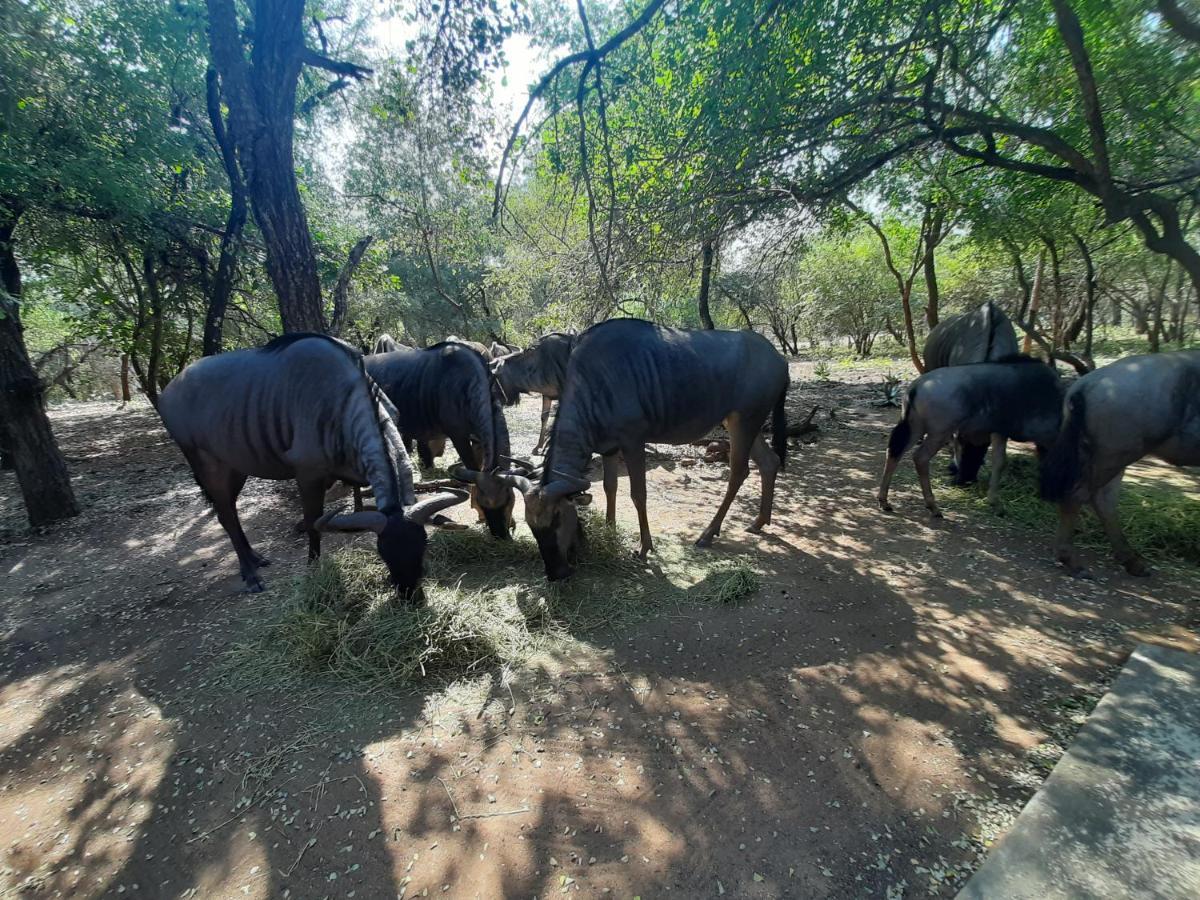 African Sky Villas Marloth Park Esterno foto