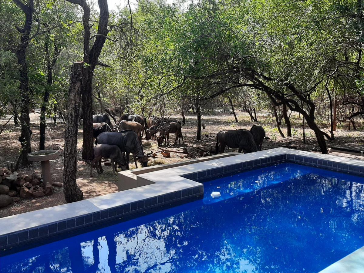 African Sky Villas Marloth Park Esterno foto